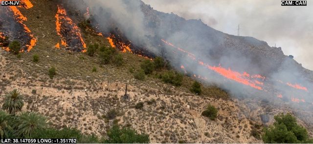 Incendio forestal en Ojós