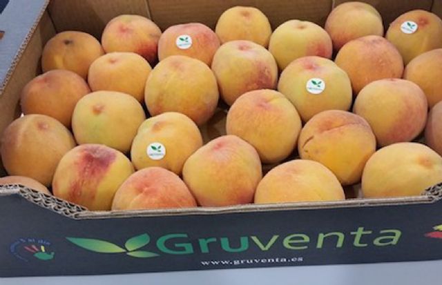 Destacan la “gran calidad” de la campaña hortofrutícola de verano aunque apuntan una gran pesadez comercial en los mercados